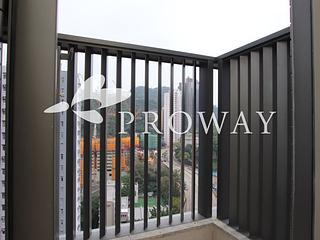 Shau Kei Wan - Lime Gala 05