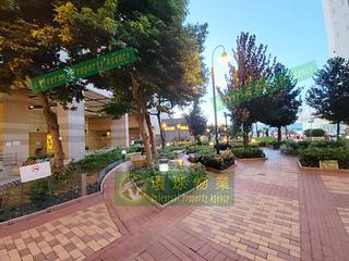 Kennedy Town - Cadogan 30