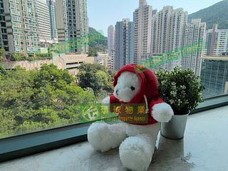 Kennedy Town - Belcher's Hill 10