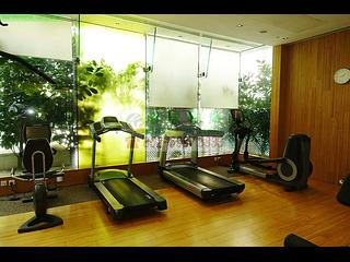 Kennedy Town - Belcher's Hill 26