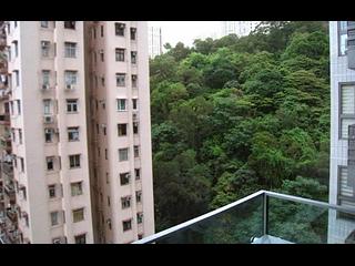 North Point - Lime Habitat 17