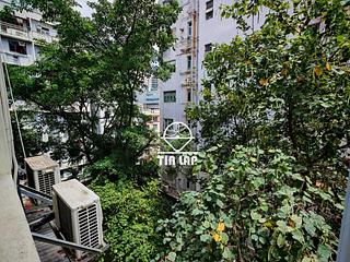 Poho - 大安台8号 02