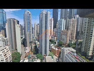 Poho - Rich View Terrace 06