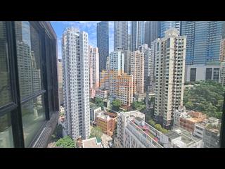 Poho - Rich View Terrace 08