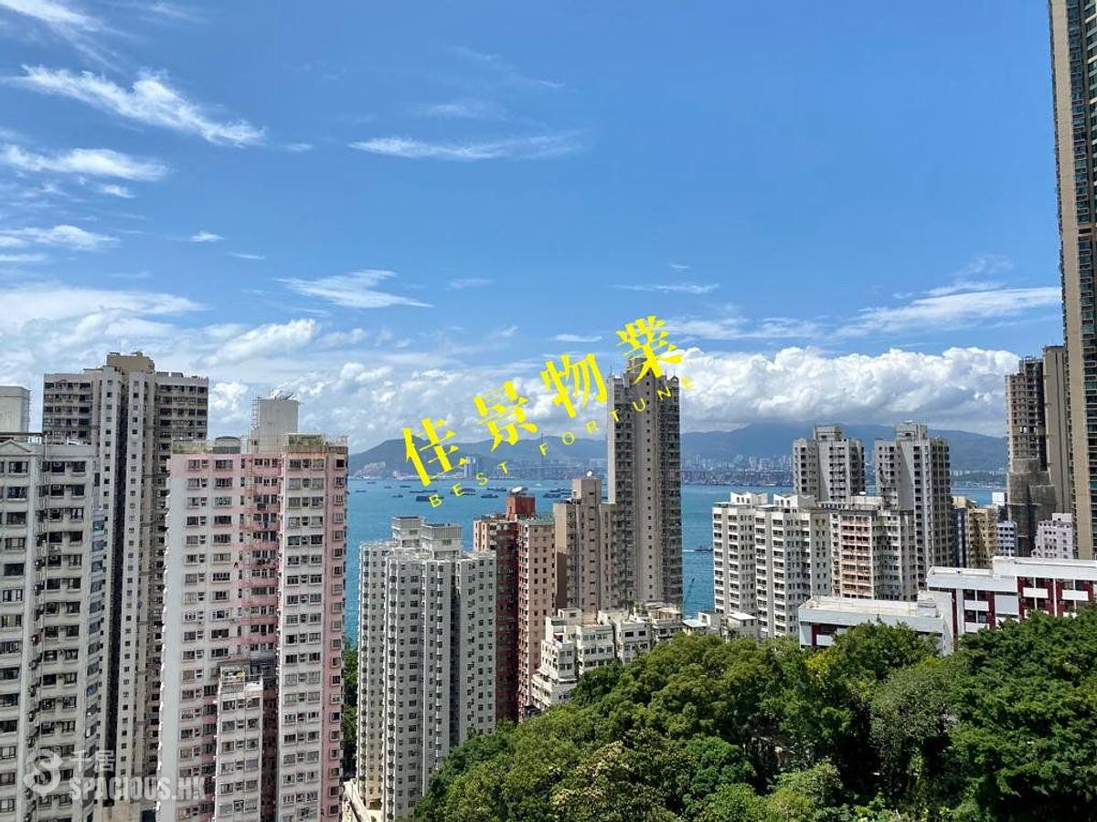 坚尼地城 - 桃李园 01