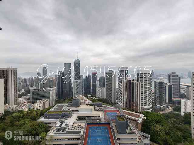 中半山 - 21 Borrett Road 1期 02