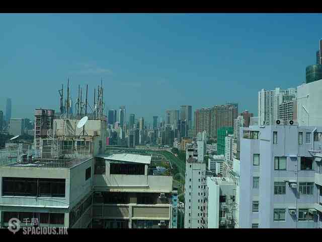 跑马地 - 逸怡居 01
