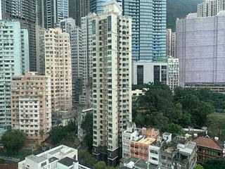Poho - Rich View Terrace 02