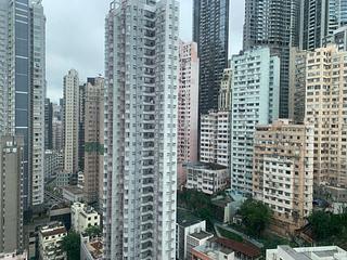 Poho - Rich View Terrace 03