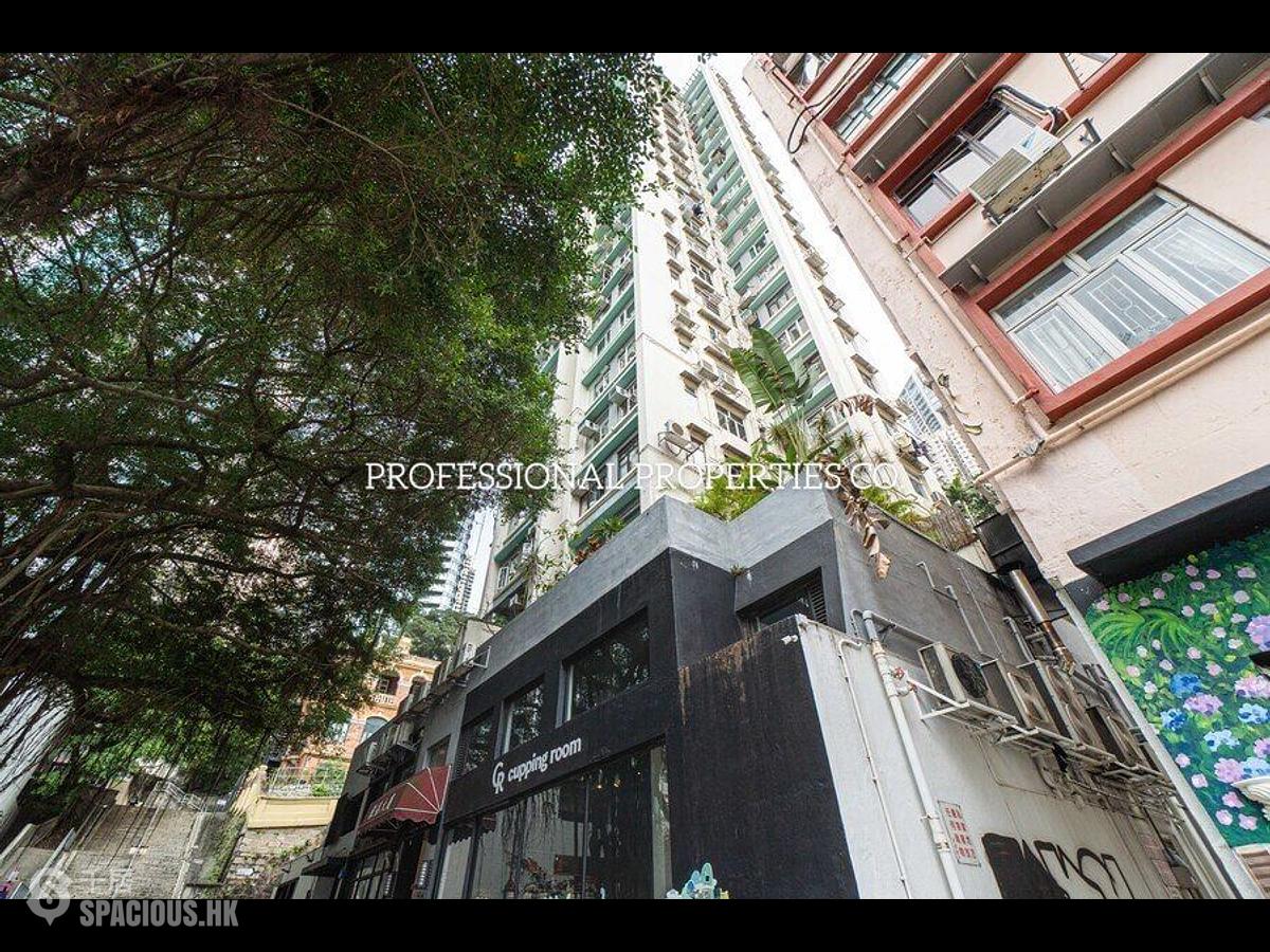 Poho - Silver Jubilee Mansion 01