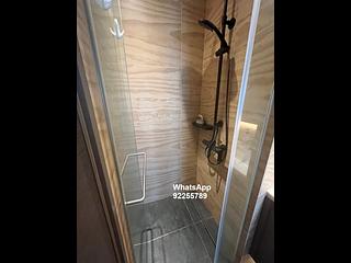 Sai Ying Pun - Artisan House 10