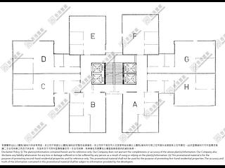 Wan Chai - Johnston Court 07