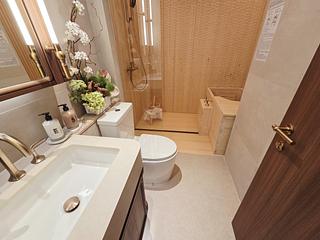 Wong Chuk Hang - The Southside Phase 5A Deep Water Pavilia 17