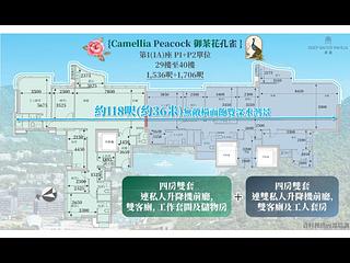 Wong Chuk Hang - The Southside Phase 5A Deep Water Pavilia 21