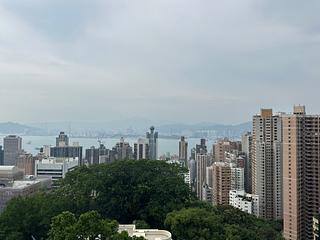 Mid Levels West - 1, Po Shan Road Block 1 14
