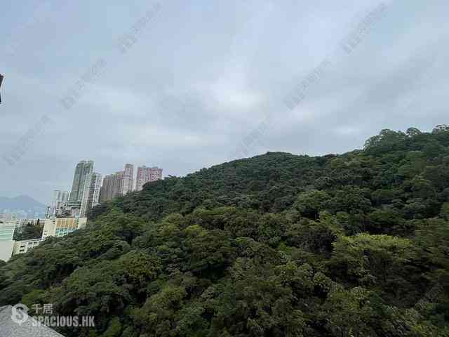 Tin Hau - The Pavilia Hill 01