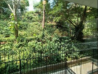 Mid Levels Central - Pine Court Block A-F 15