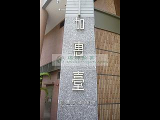 堅尼地城 - 加惠臺 24