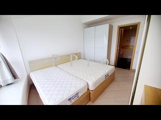 Tsim Sha Tsui - The Masterpiece 06