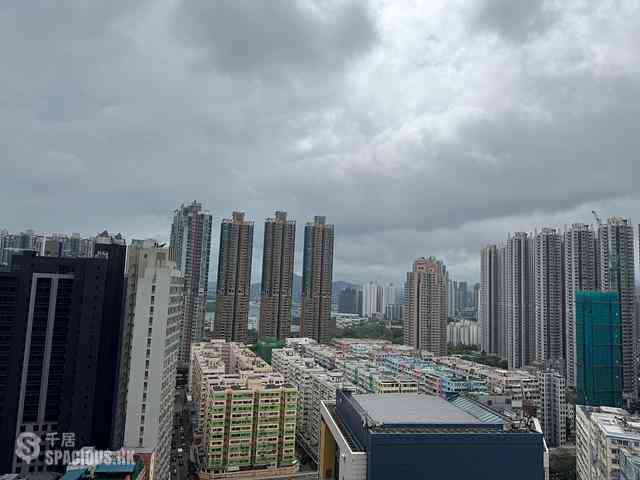 Tai Kok Tsui - Park Ivy 12
