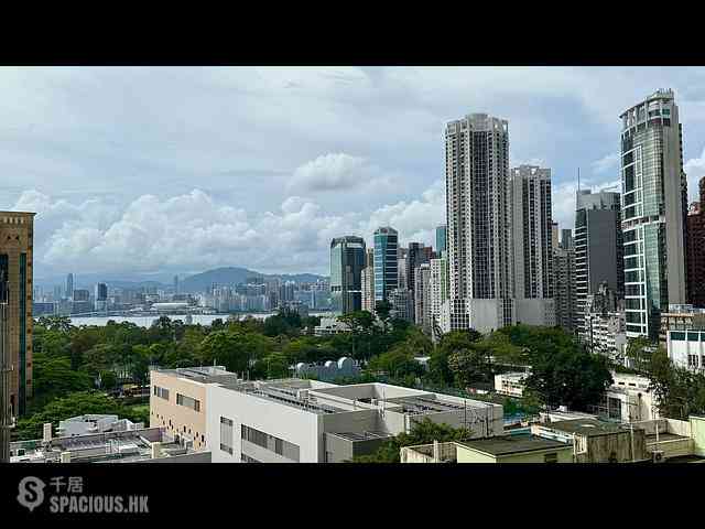 Causeway Bay - Jones Hive 01