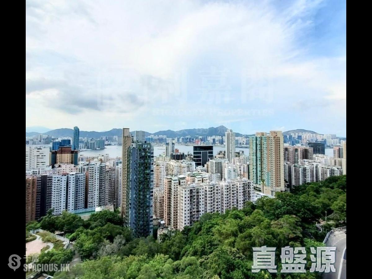 寶馬山 - 雲峰大廈 01