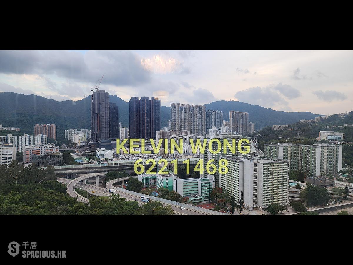 Tai Wai - Peak One 01