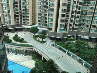 Shek Tong Tsui - The Belcher's 09