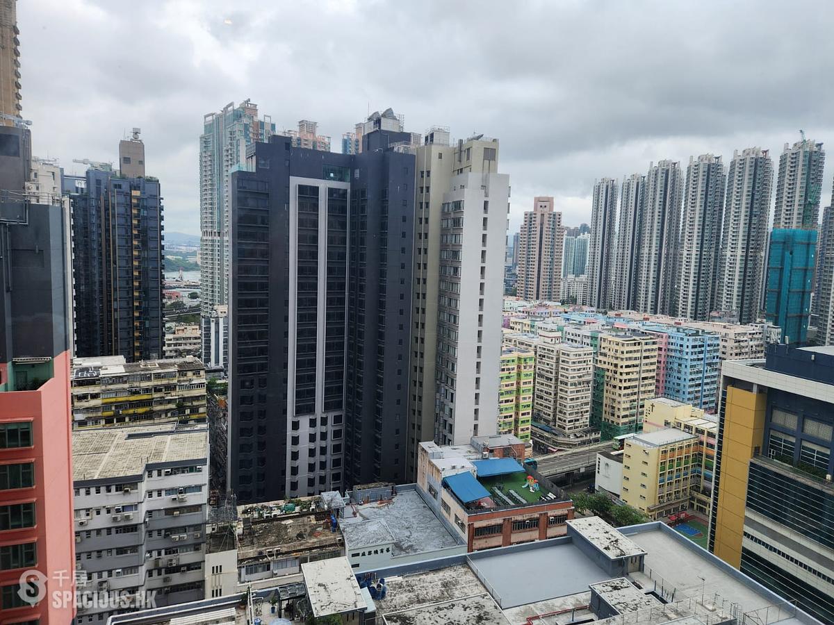 Tai Kok Tsui - Park Summit Block 1 01