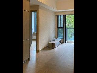 Shau Kei Wan - Lime Gala 02