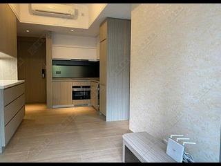 Shau Kei Wan - Lime Gala 04