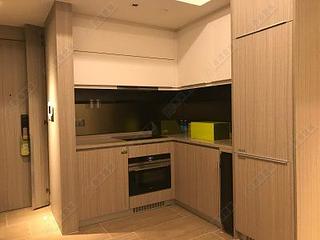 Shau Kei Wan - Lime Gala 02