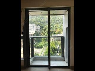Shau Kei Wan - Lime Gala 03