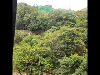 Mid Levels East - Man Yuen Garden 15