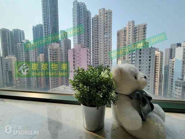 Kennedy Town - Belcher's Hill 01