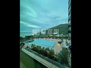 薄扶林 - Victoria Coast 05