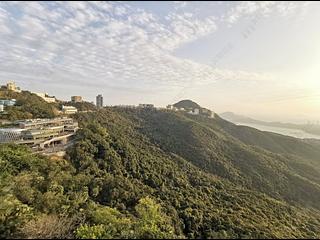 The Peak - The Mount Austin 06
