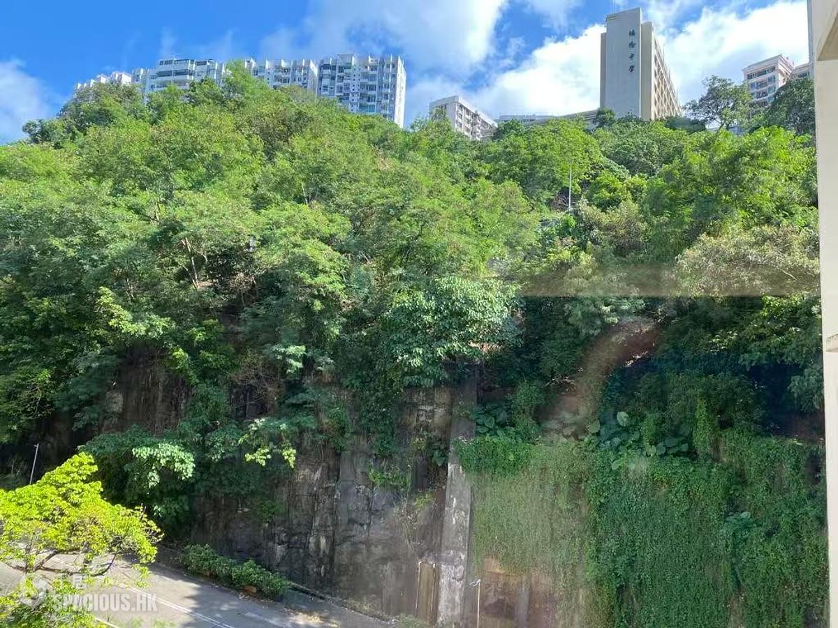 North Point - Bedford Gardens 01