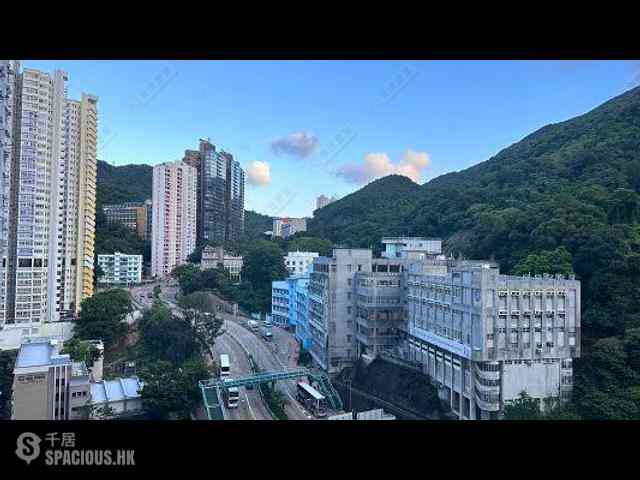 Shau Kei Wan - Lime Gala 01