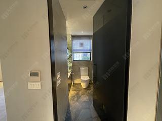 Central - The Albany 17