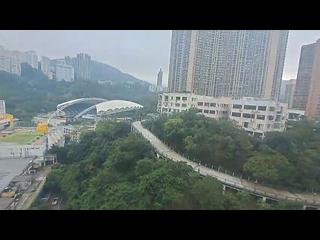跑马地 - 加路连花园 02