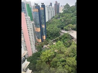 Tai Hang - Dragon Centre Block 2 11