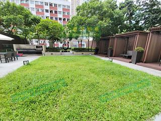 Kennedy Town - Lexington Hill 15