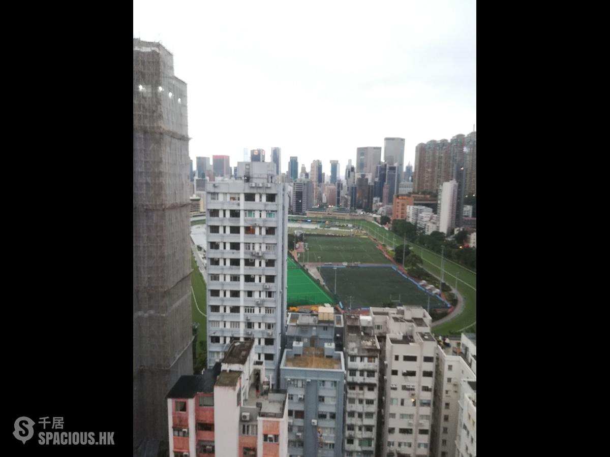 跑馬地 - 金光大廈 01