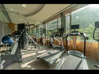 東半山 - Bowen's Lookout 15