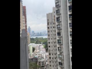 Tai Hang - Cherry Court 02
