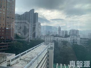 大坑 - 龍園 07