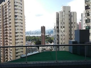 Tai Hang - Y.I 02