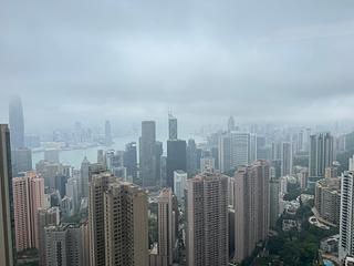 Mid Levels Central - Tregunter Tower 3 14