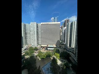 North Point - City Garden 11